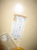 Kerwa 2009